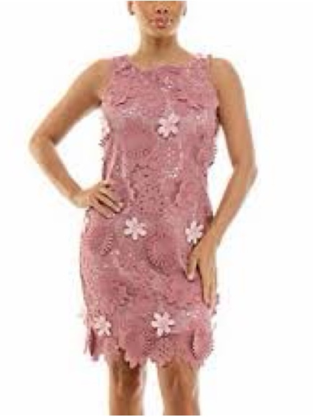 NWOT Nina Leonard Crochet 3D Floral Embroidery Sheath Dress Dusty Rose